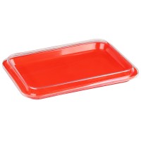 Plasdent SIZE B TRAY LIDS, Clear - Dimension: 13½" x 9⅝" x ⅞"